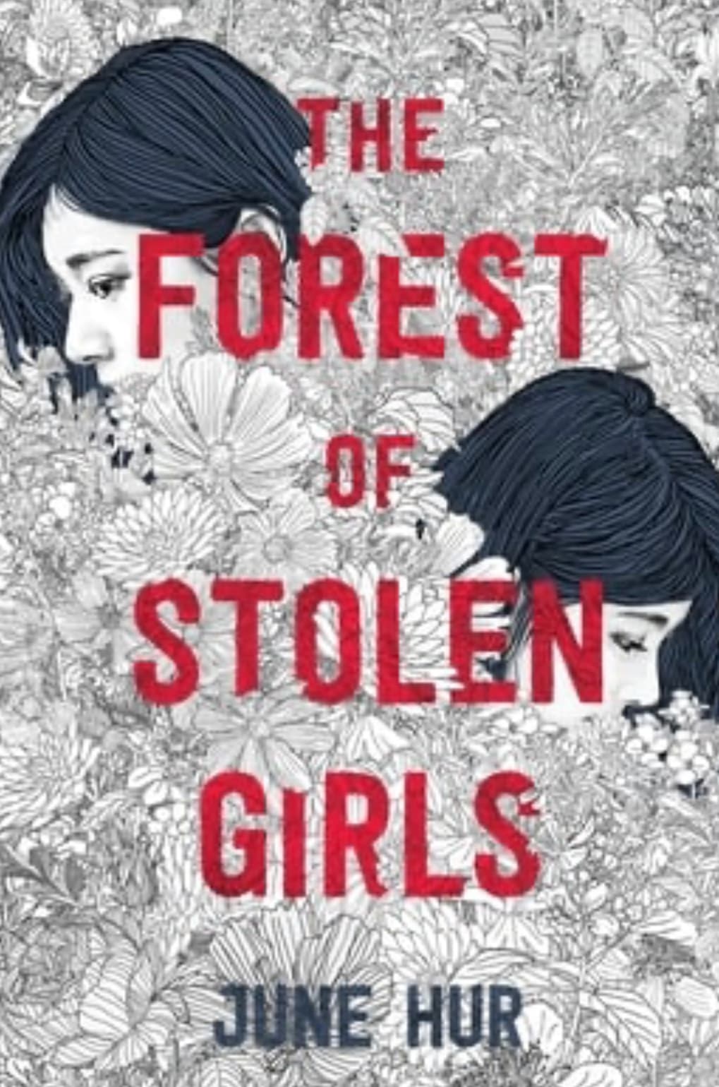 Unraveling Secrets in The Forest of Stolen Girls