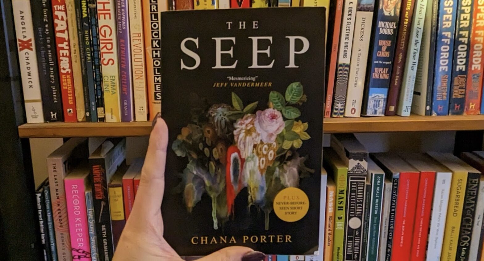 Unveiling “The Seep”: A Dive into Porter’s World