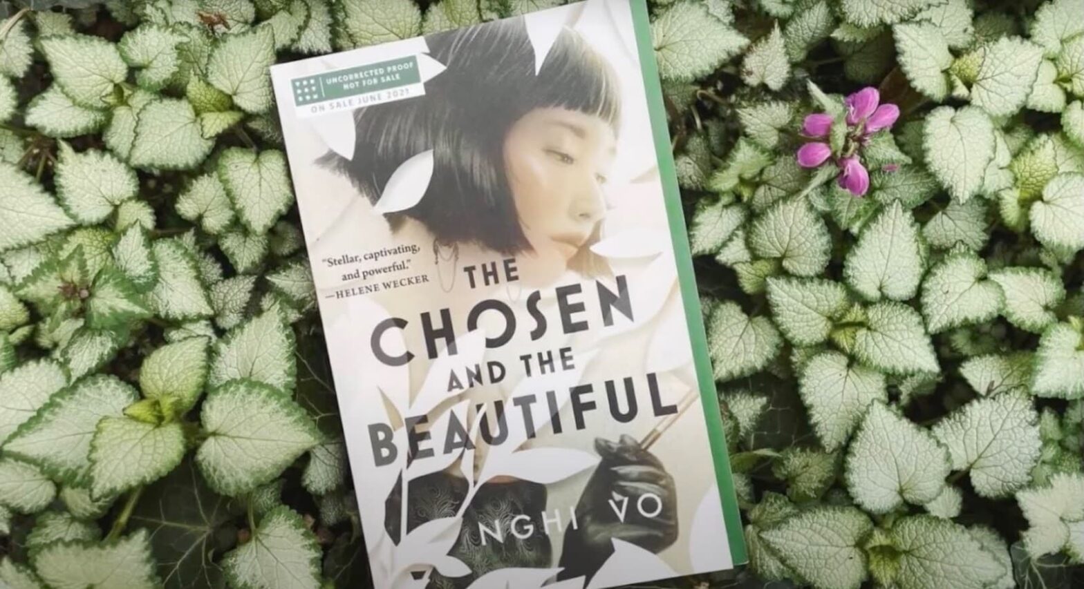 Book Review: The Chosen and the Beautiful by Nghi Vo